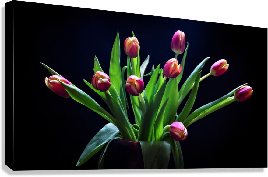 044A4818 Canvas Print