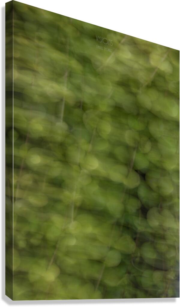 044A8977 Canvas Print