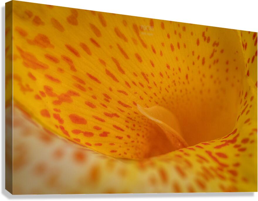 044A8884 Canvas Print
