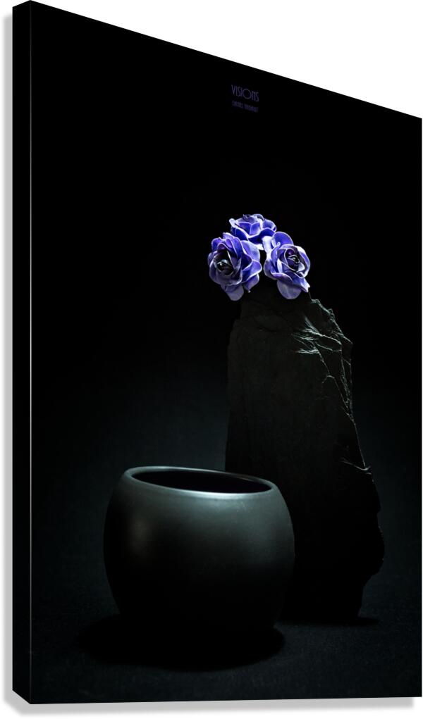 044A4917 Canvas Print