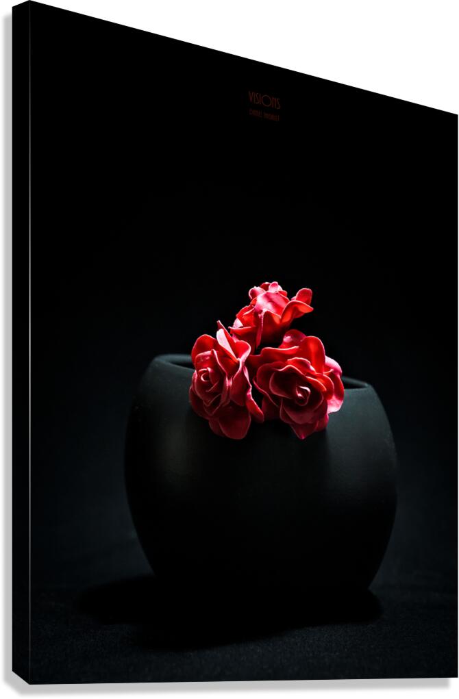 044A4923 Canvas Print