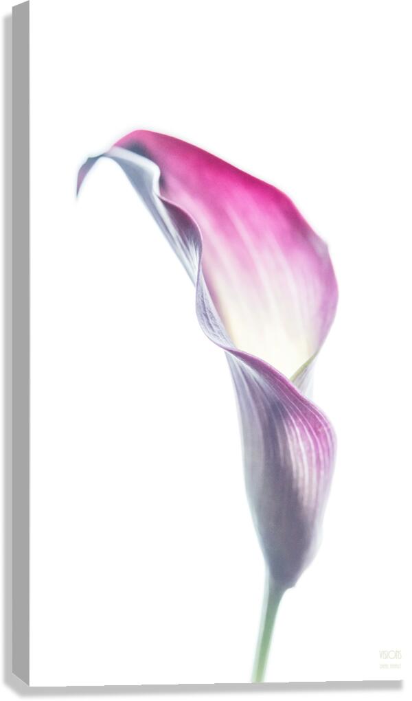 044A3479 Canvas Print