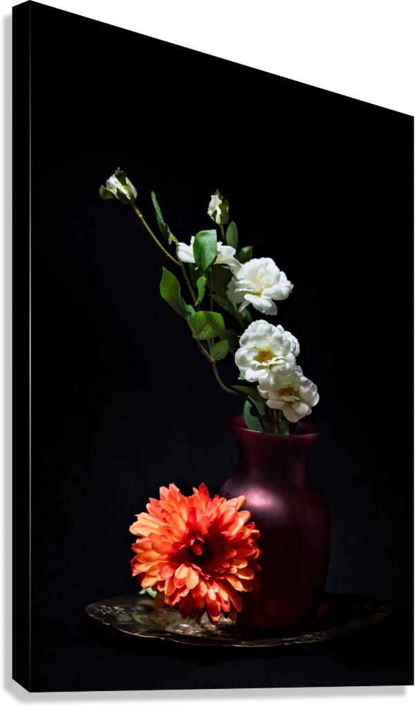 044A4901 Canvas Print