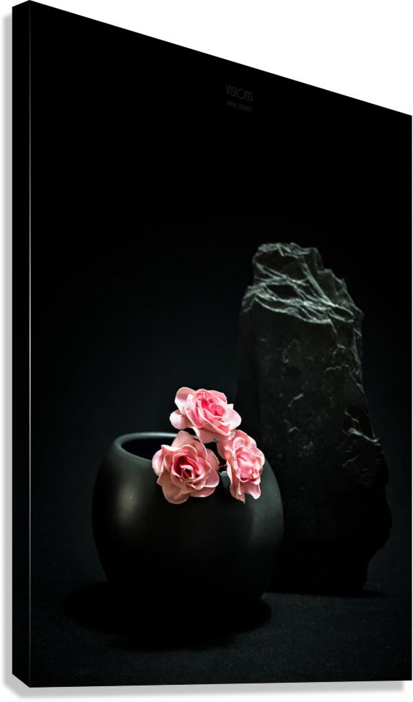 044A4907 Canvas Print