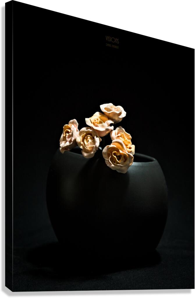 044A4928 Canvas Print