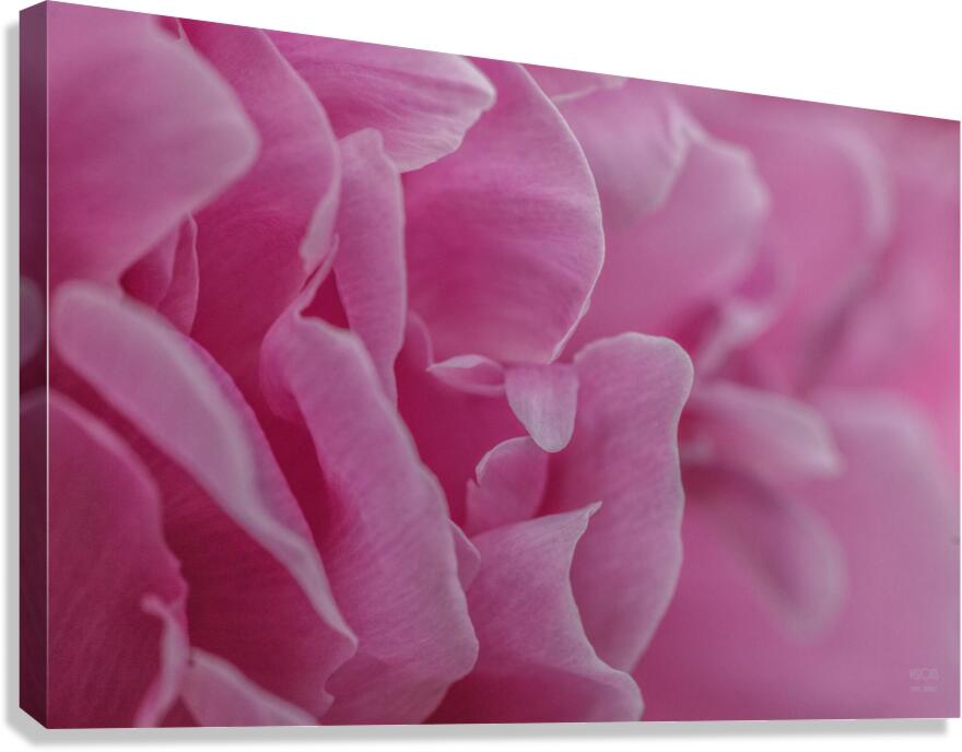 085A0562 Canvas Print