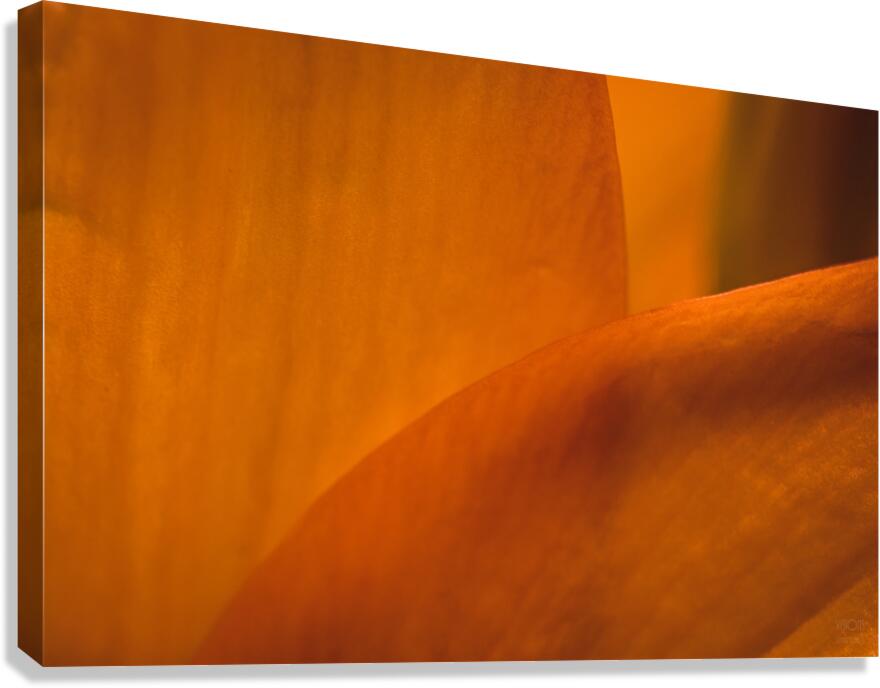085A7043 Canvas Print