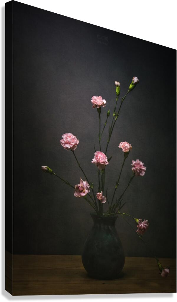 085A8419 Canvas Print