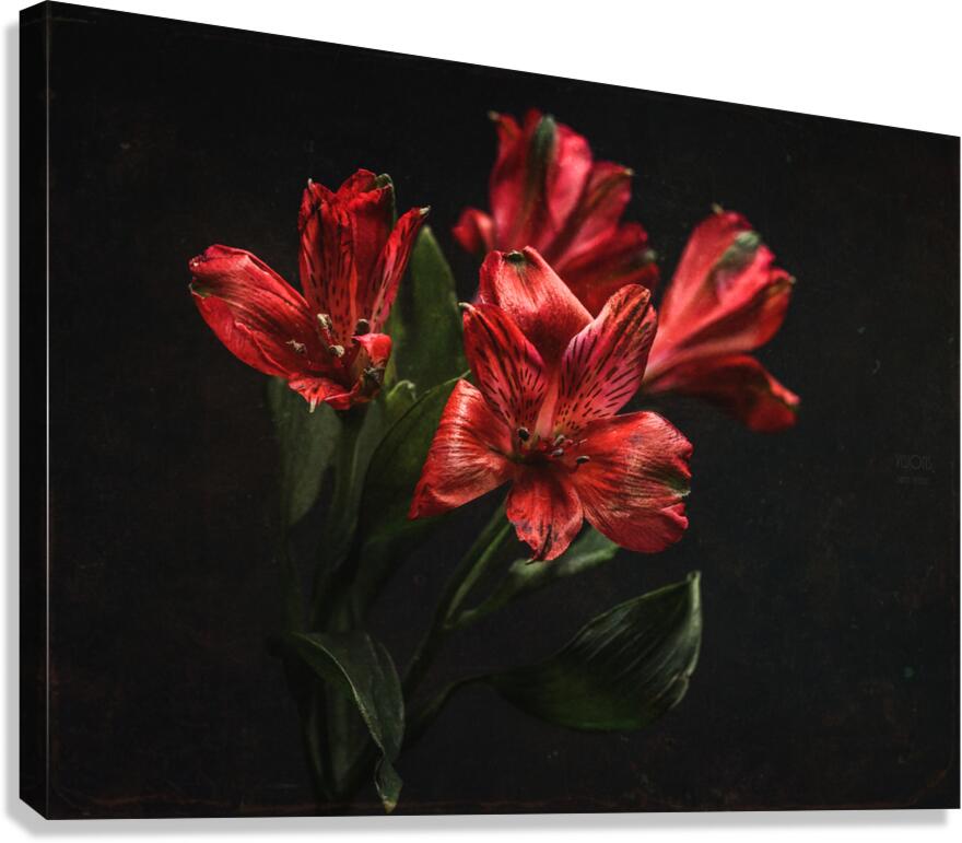 085A7087 Canvas Print