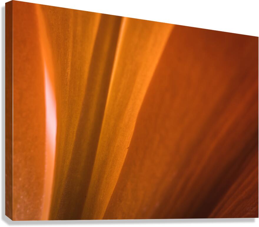 085A7011 Canvas Print