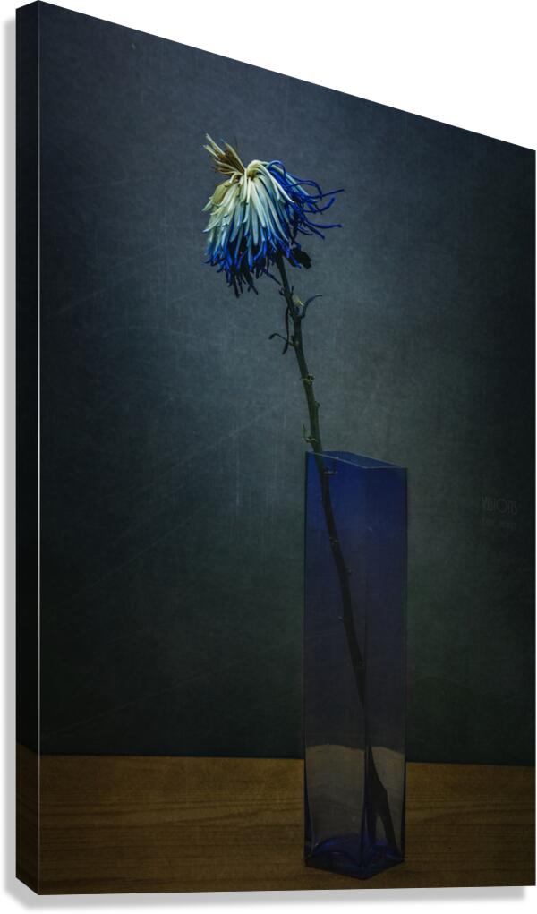 085A8429 Canvas Print