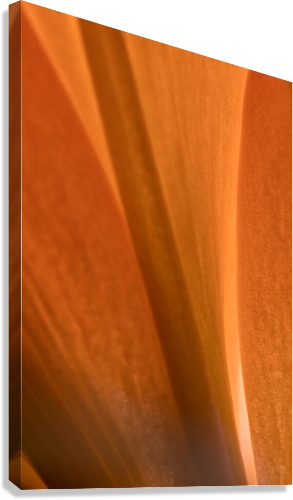 085A7016 Canvas Print