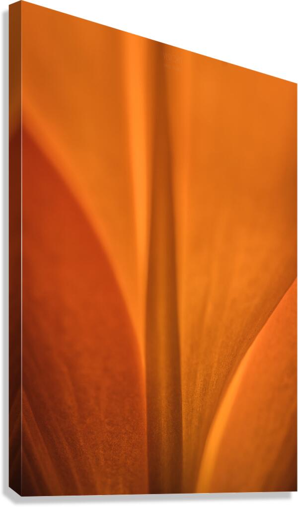 085A7013 Canvas Print