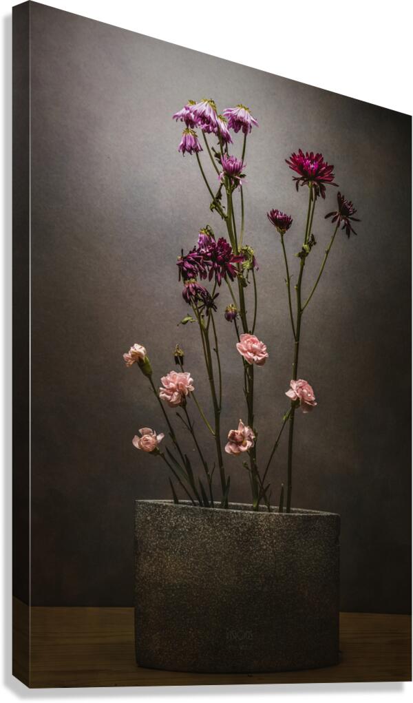 085A8408 Canvas Print