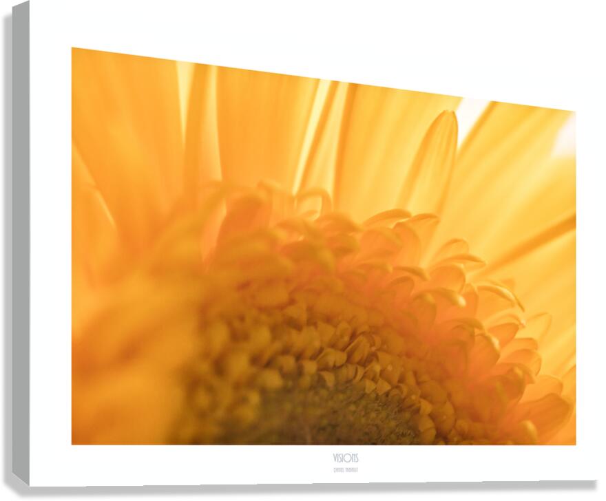  44A2742 Canvas Print