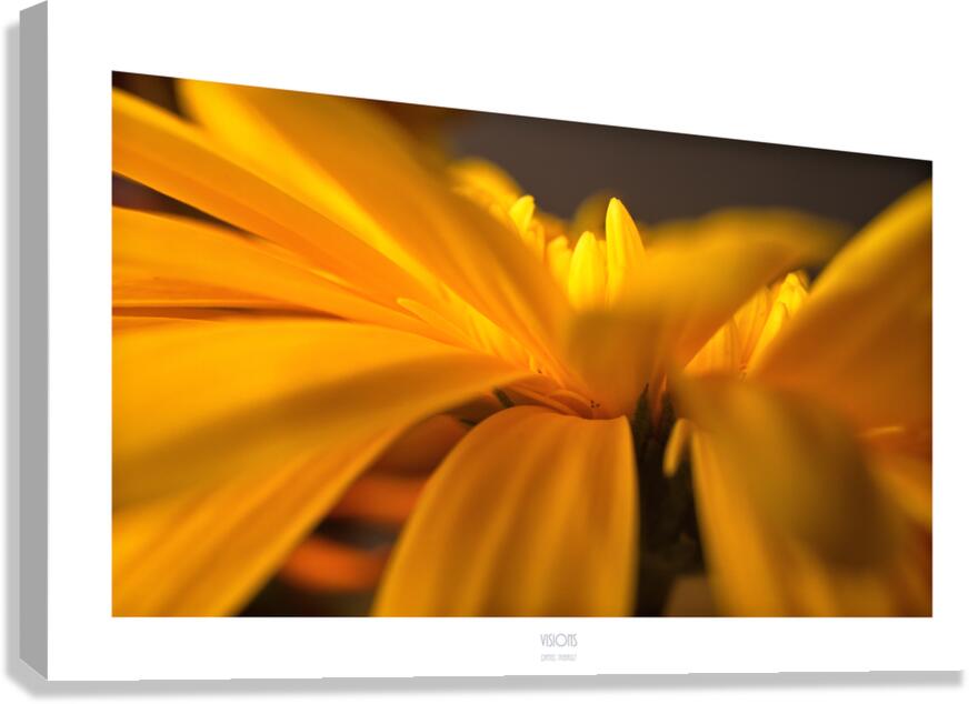  Q8A0478 Canvas Print