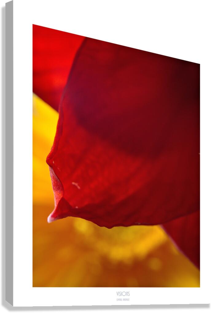  Q8A0439b Canvas Print