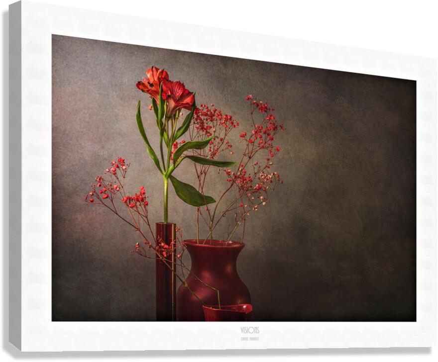  85A7077 Canvas Print