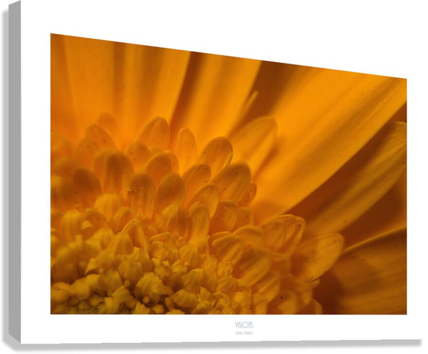  Q8A0389 Canvas Print