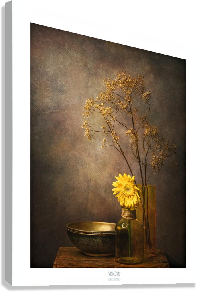  44A2664 Canvas Print