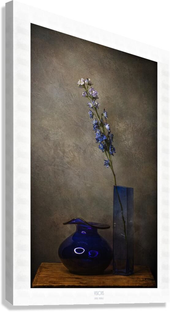  44A2589 Canvas Print