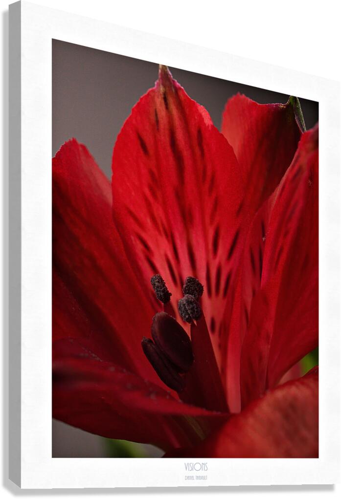  Q8A0306 Canvas Print