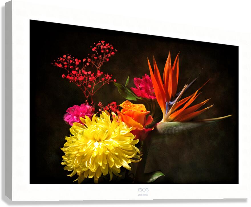  44A2369 Canvas Print