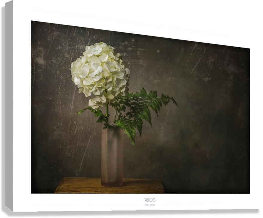  44A2713 Canvas Print