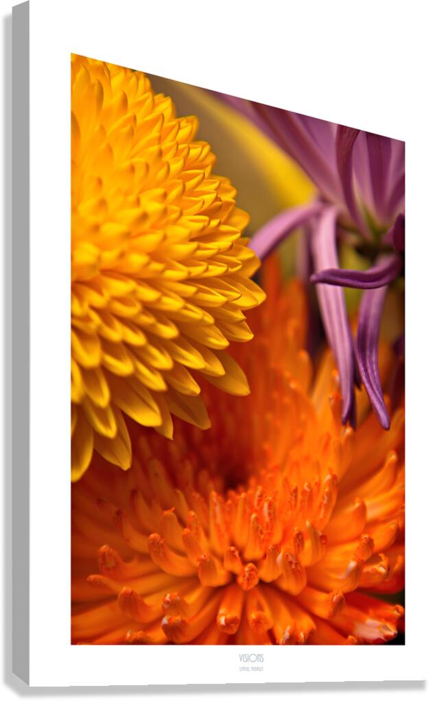  Q8A0499 Canvas Print