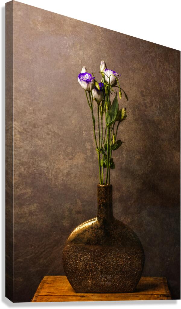  44A2387 Canvas Print