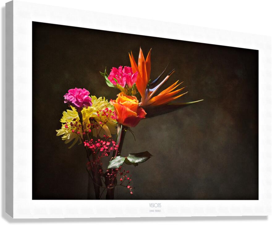  44A2365 Canvas Print