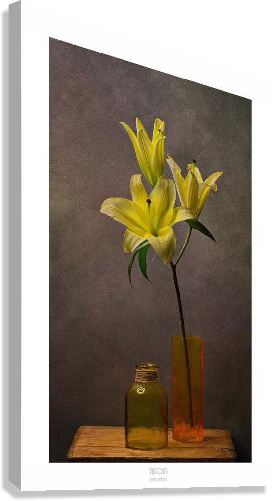  44A2751 Canvas Print