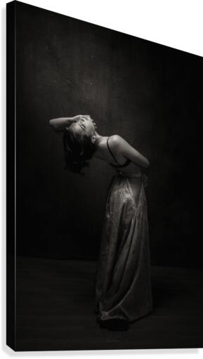 Le cambre  Canvas Print