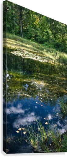 Monet style 2 Canvas Print