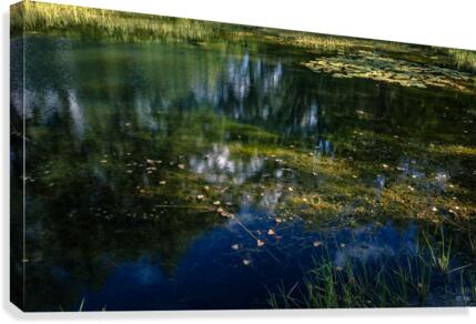 Monet style 3  Canvas Print