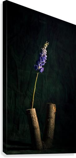 Simplicitude Canvas Print