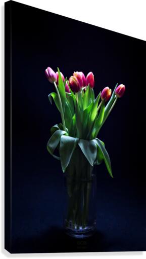 Etude Zen  9 e Canvas Print