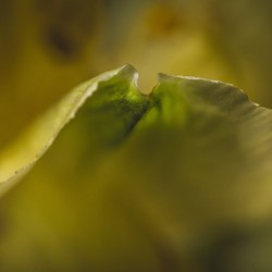 044A4142