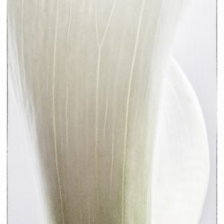 044A2247 