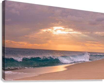 Sea of Cortez Canvas Print
