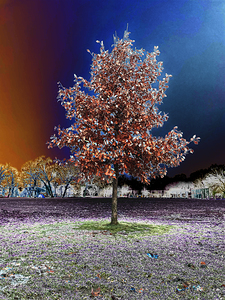 Winter Transition