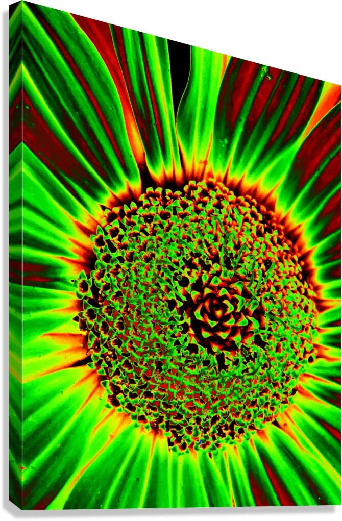 Seeding CRC Canvas Print
