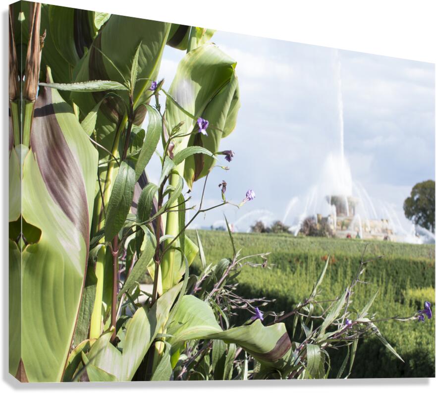 Fall Harvest Canvas Print