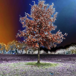 Winter Transition