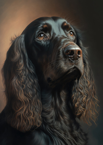 English Cocker Spaniel