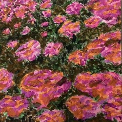 Sougi Galleon   Field of Flowers