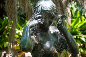 Water Nymph
