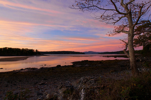 Sunrise In Maine Print