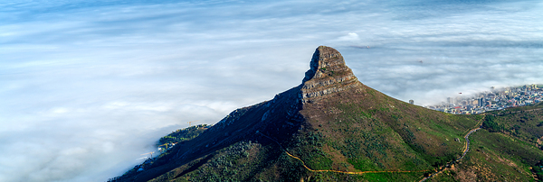 Lions Head Mountain Print