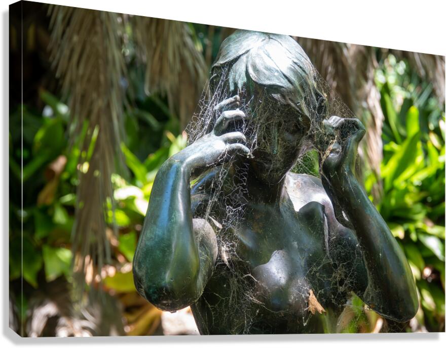 Water Nymph Canvas Print